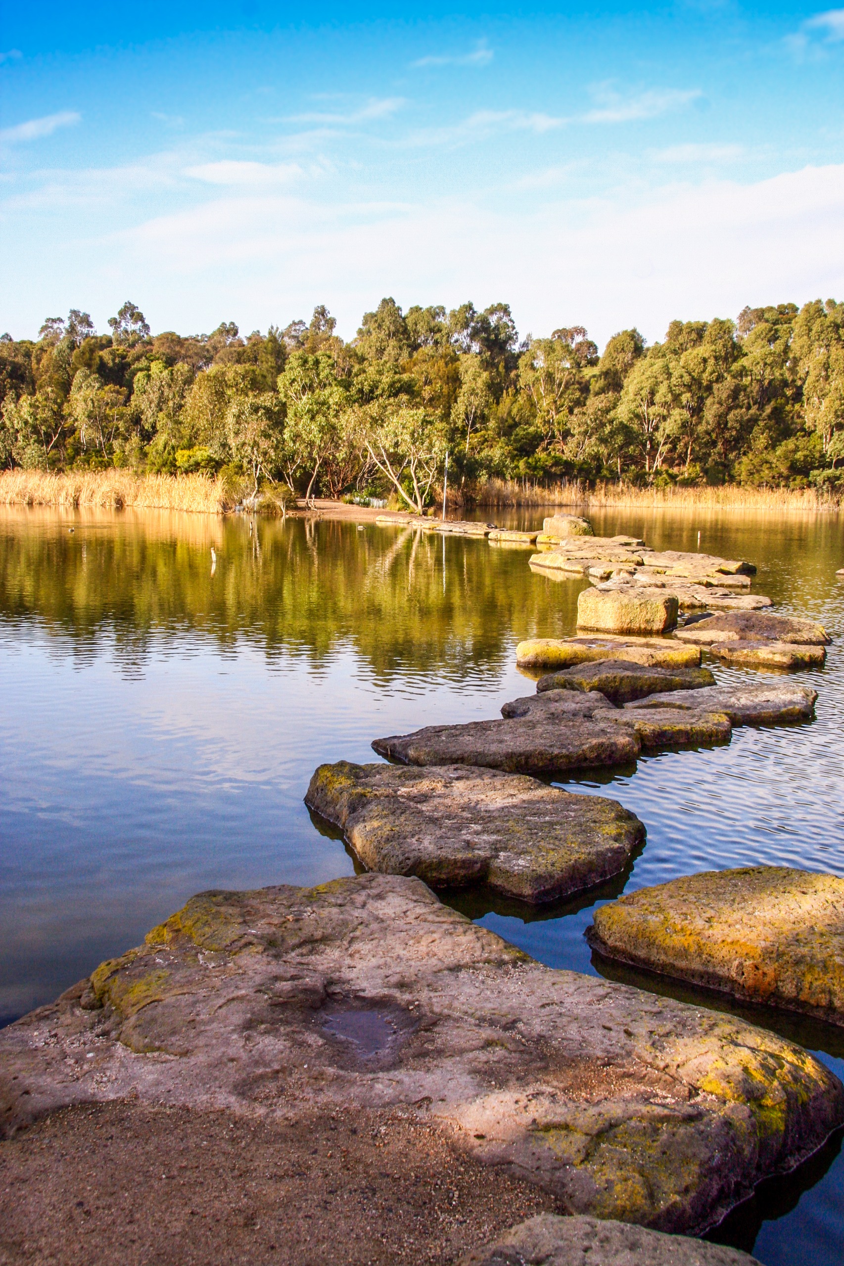 Newport Lakes Reserve Conservation and Development Plan Participate